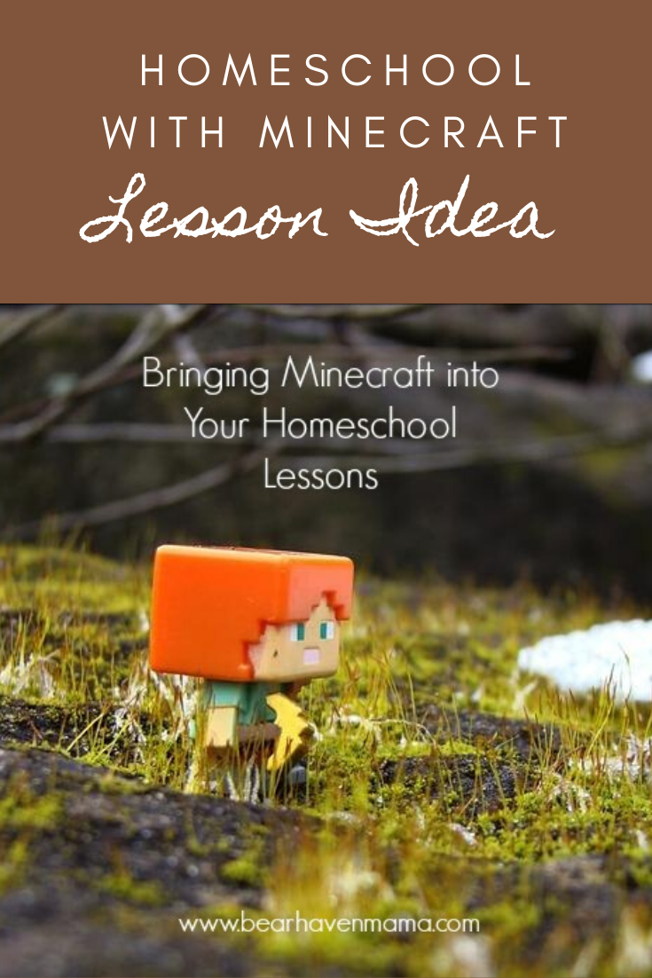 Homeschool doesn't have to be all about books and lessons. Find out how we did a homeschool with Minecraft style lesson to teach about communities!