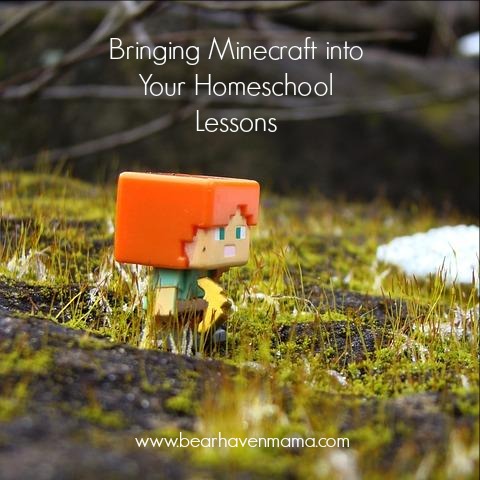 Homeschool doesn't have to be all about books and lessons. Find out how we did a homeschool with Minecraft style lesson to teach about communities!