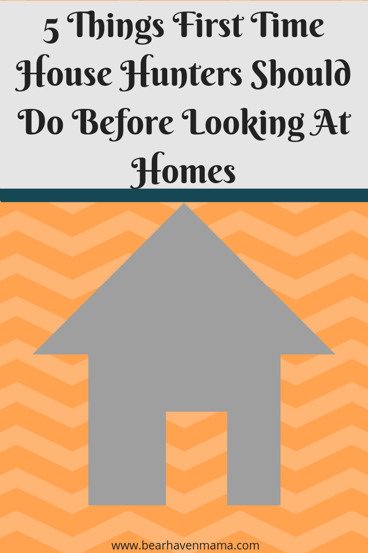 Wanting to buy a home but don't know where to start? Here is a handy infographic and info about what you need before buying a home!