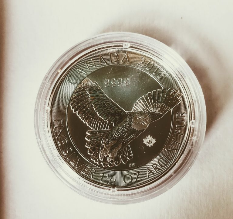 Silver Canadian Snowy Owl Coin Review from GSI Exchange
