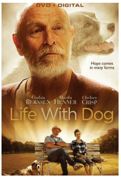 Life With Dog  Family Movie Night Review