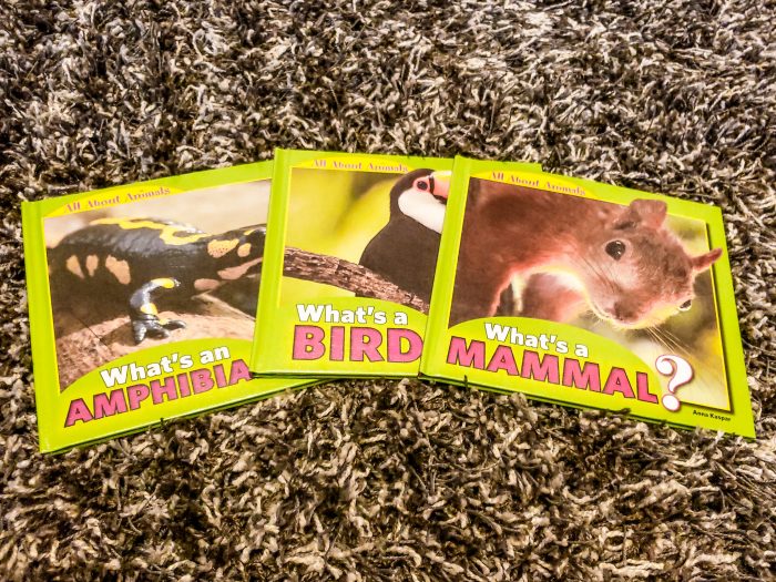 All About Animals - Set of 3 from Library and Educational Services LLC, just one of the many selections of hardbound non-fiction books for homeschool