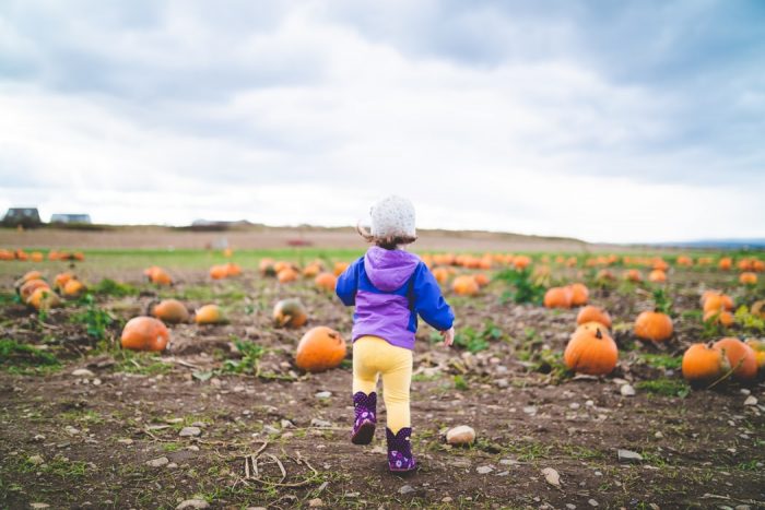 Pumpkin Sensory Play