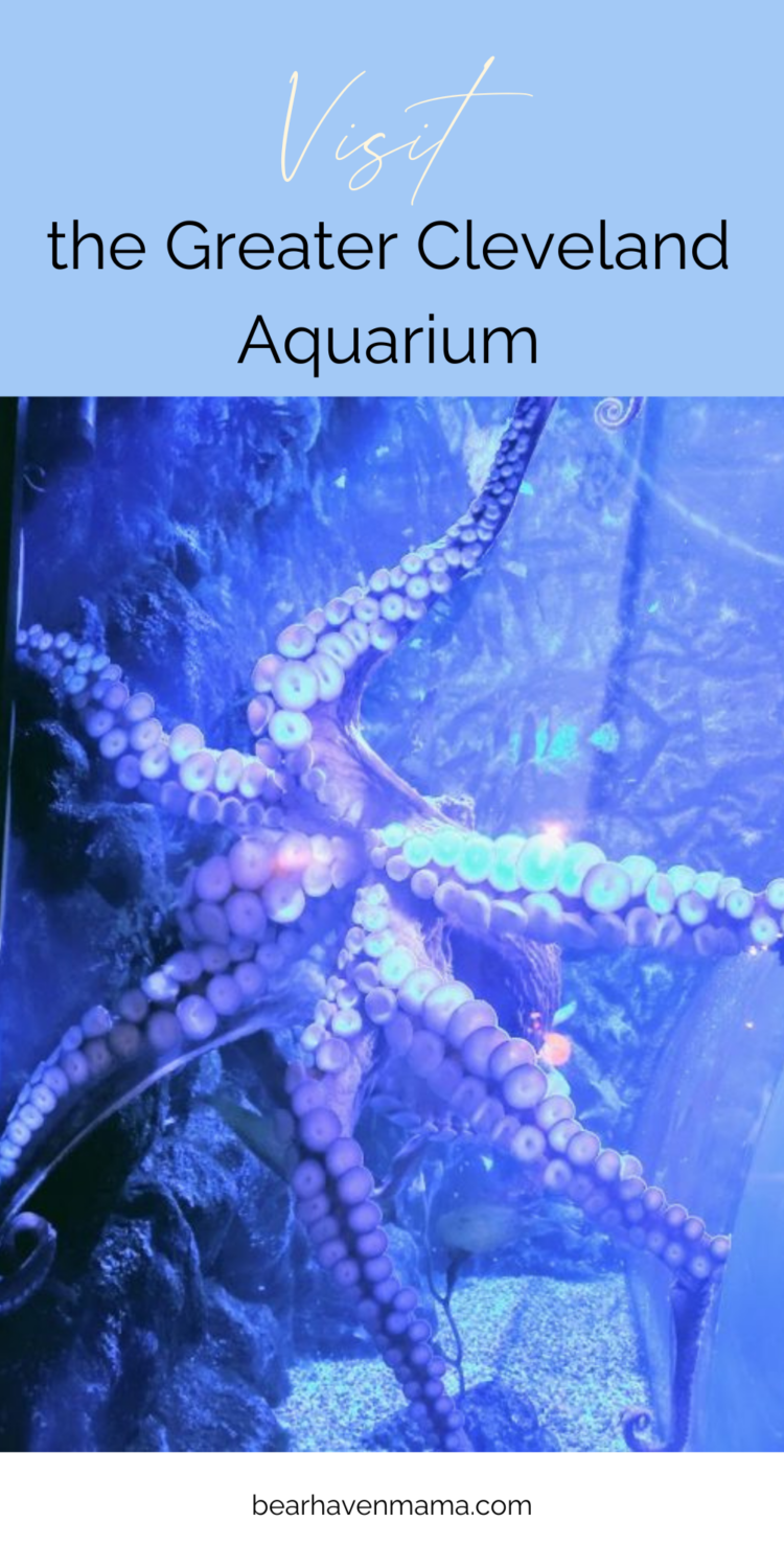 octopus with words saying "visit the Greater Cleveland Aquarium."