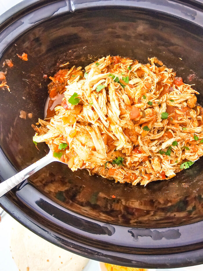 salsa chicken in a crockpot
